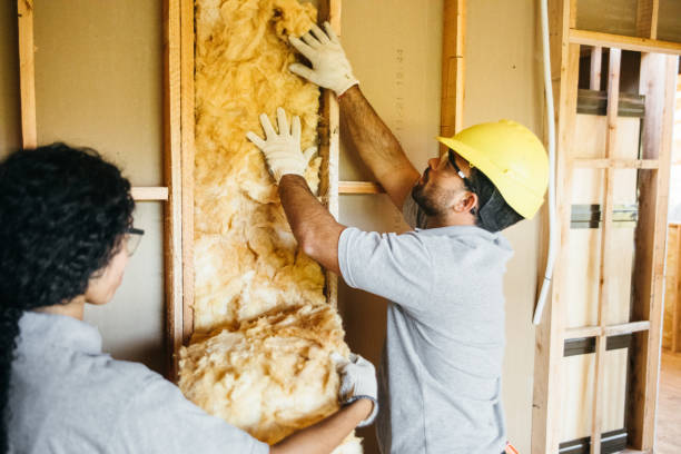 Best Attic Insulation Installation  in Oro Valley, AZ