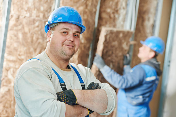 Best Home Insulation Services  in Oro Valley, AZ