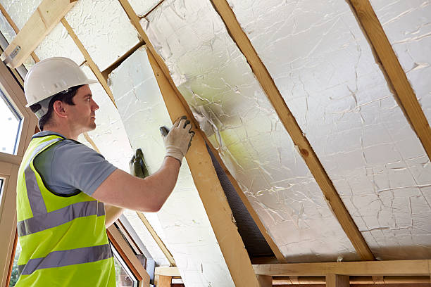 Best Residential Insulation Services  in Oro Valley, AZ